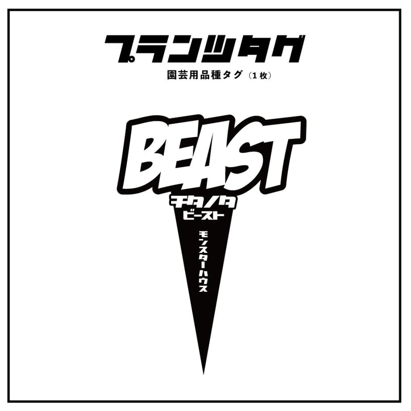 アガベ 品種 プランツタグ 黒】チタノタ ビースト | アガベ専門店