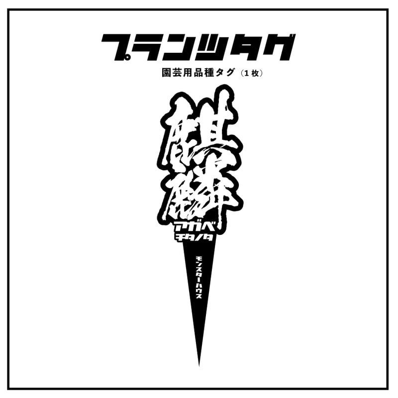 アガベ 品種 プランツタグ 黒】チタノタ 麒麟 | アガベ専門店
