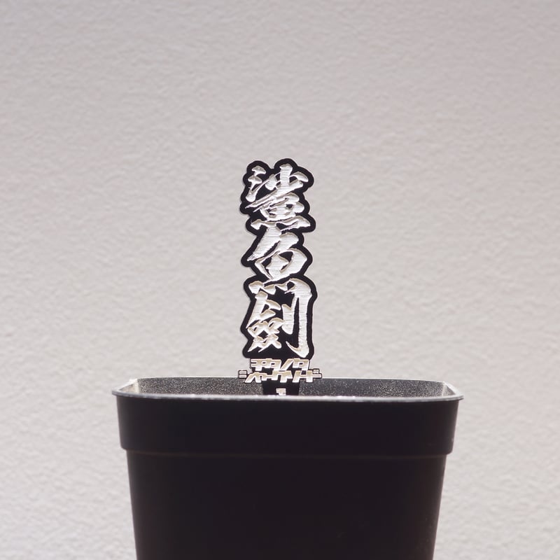 アガベ シャークソード　大株美形　黒鉢 Yahoo!オークション - アガベ チタノタ 鯊魚剣 大株 カタチ