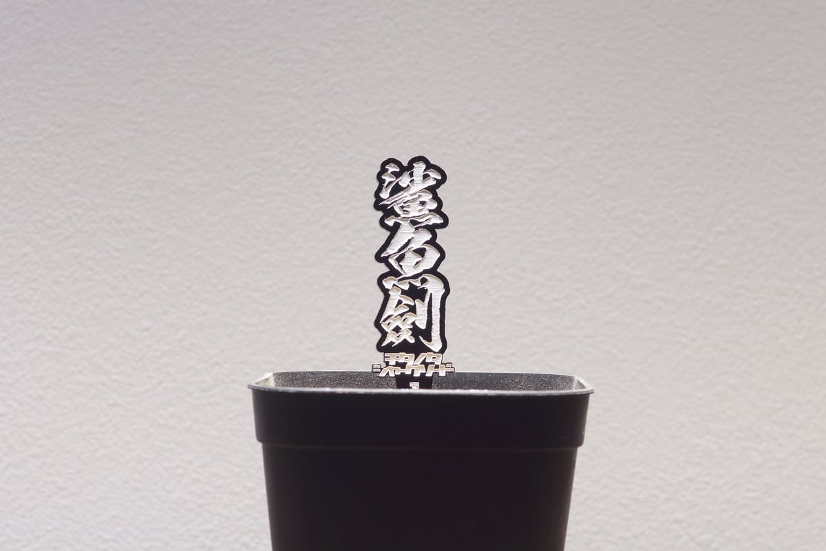 アガベ 品種 プランツタグ 黒】鯊魚劍 / シャークソード | アガベ専門