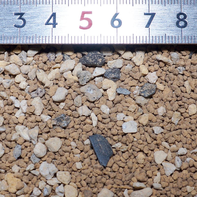 アガベ 塊根植物の土】ネガデルド（2リットルサイズ用土） | アガベ