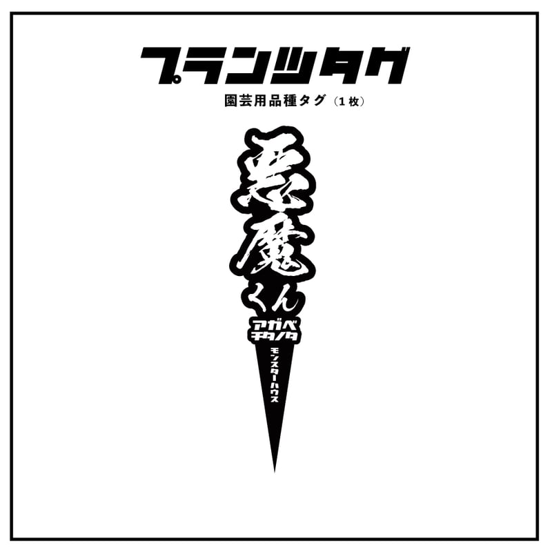 9/5更新　タイの悪魔くん　アガベチタノタ　選抜実生　ダメージあり　タグ付き RAFLUMコレクション】アガベ チタノタ 