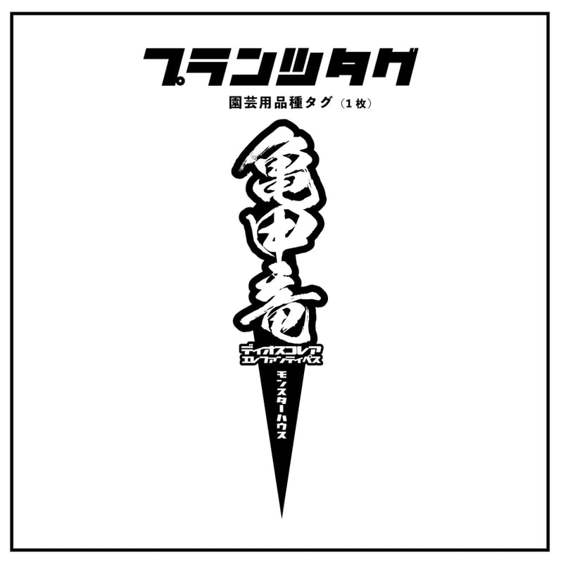 ディスコレア 品種 プランツタグ 黒】亀甲竜 | アガベ専門店