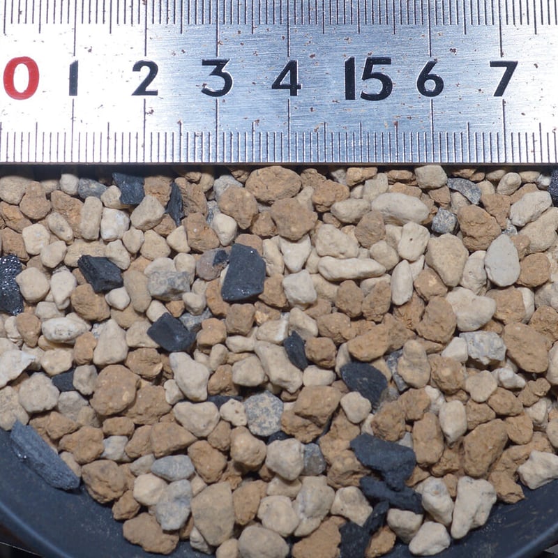 アガベ 塊根植物の土】シメルド（2リットルサイズ用土） | アガベ専門