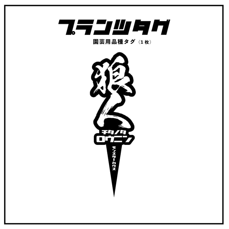 アガベ 品種 プランツタグ 黒】チタノタ 狼人 | アガベ専門店