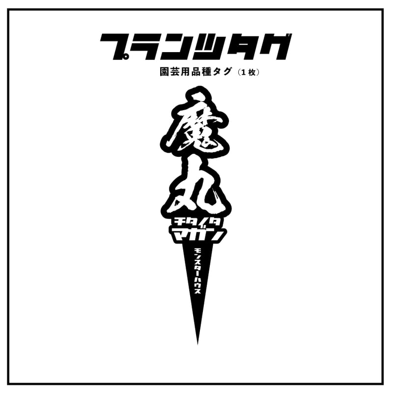 アガベ 品種 プランツタグ 黒】チタノタ 魔丸 | アガベ専門店