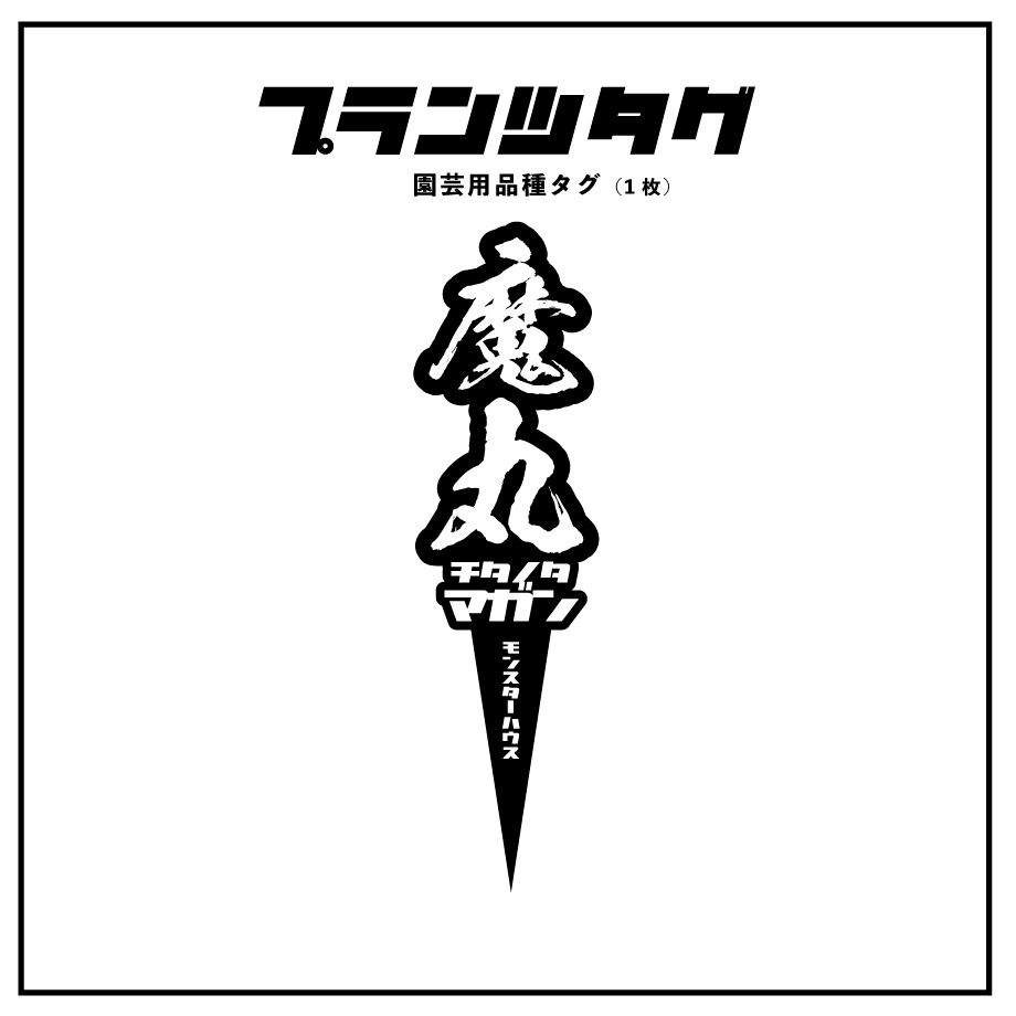 アガベ 品種 プランツタグ 黒】チタノタ 魔丸 | アガベ専門店