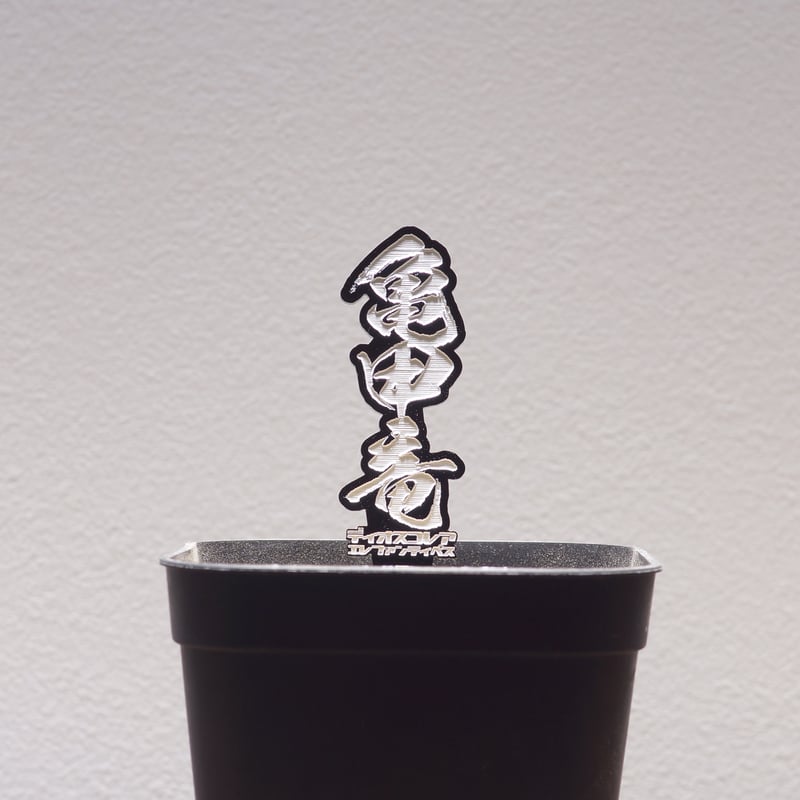 ディスコレア 品種 プランツタグ 黒】亀甲竜 | アガベ専門店