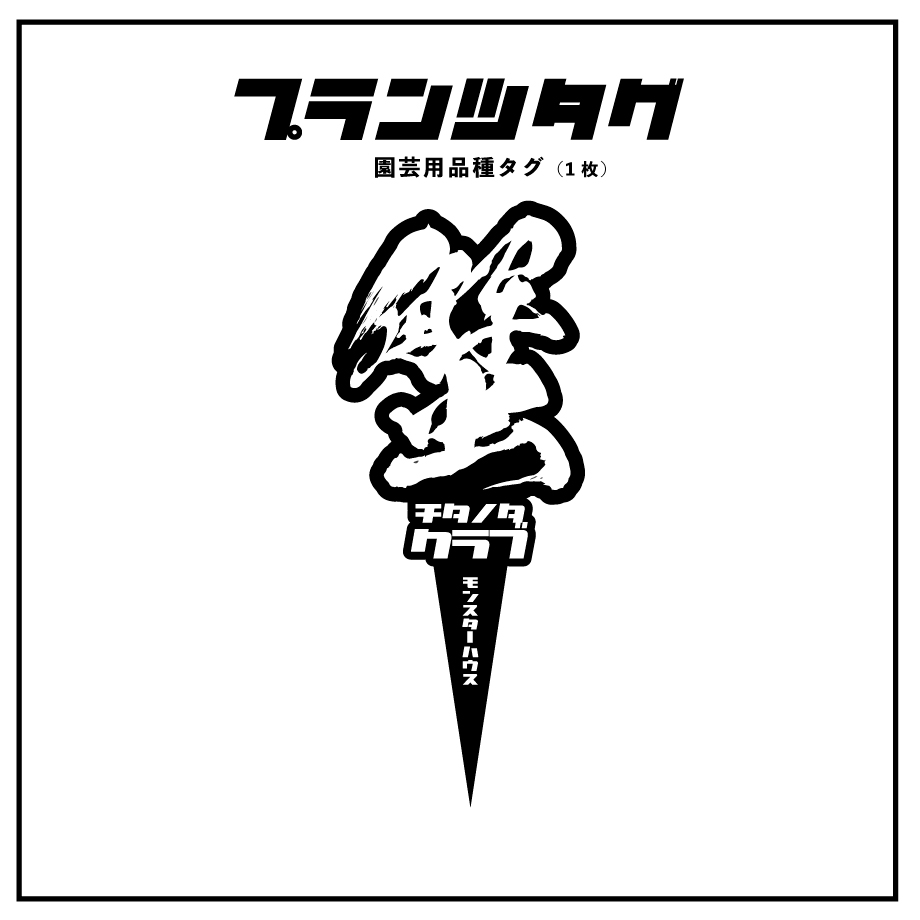 アガベ 品種 プランツタグ 黒】チタノタ 蟹 | アガベ専門店 モンスター