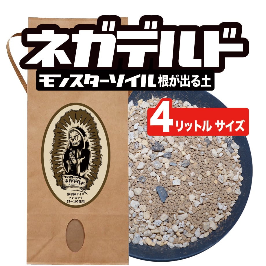 トリロバイト化石 約4cm x 3cm,南米からのお土産です original