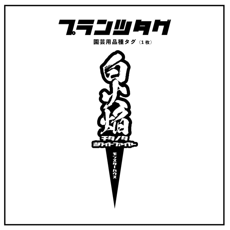 アガベ 品種 プランツタグ 黒】チタノタ 白火焔 | アガベ専門店 