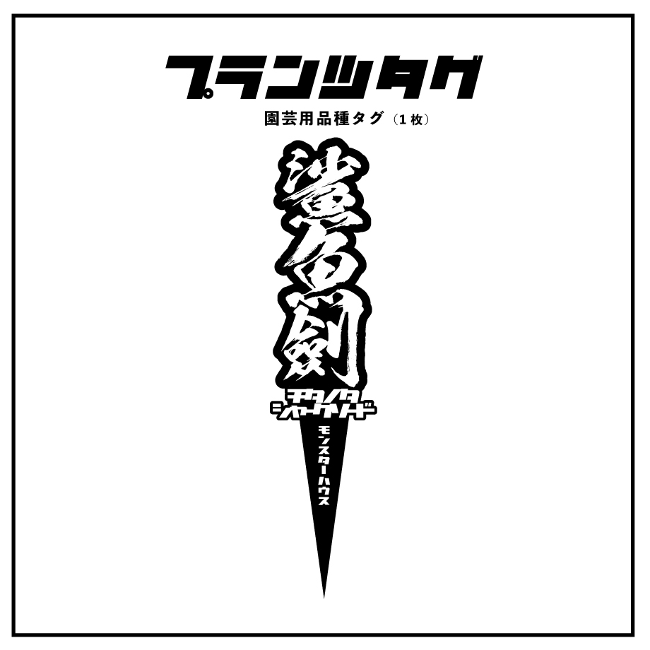 アガベ 品種 プランツタグ 黒】鯊魚劍 / シャークソード | アガベ専門