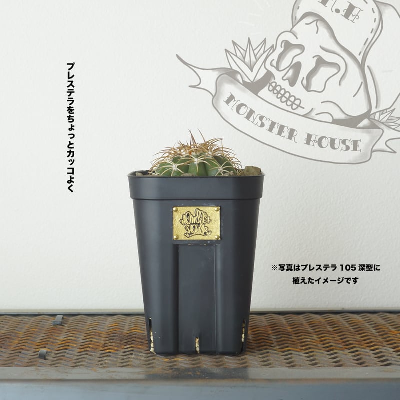 アガベの鉢 モンスターボウル ヴィンテージブラス（プレステラ105深型