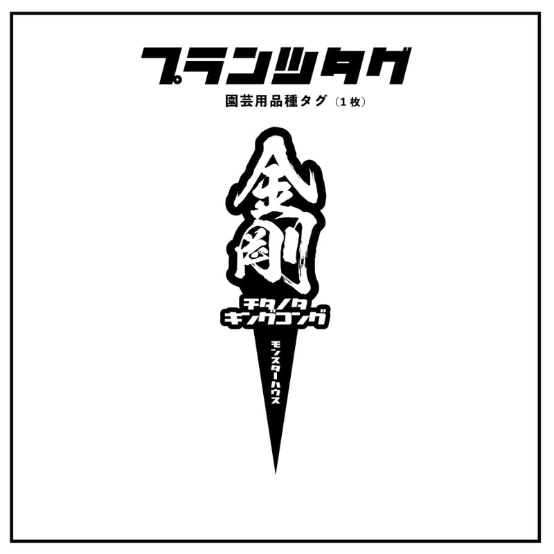 アガベ 品種 プランツタグ 黒】チタノタ 金剛 | アガベ専門店