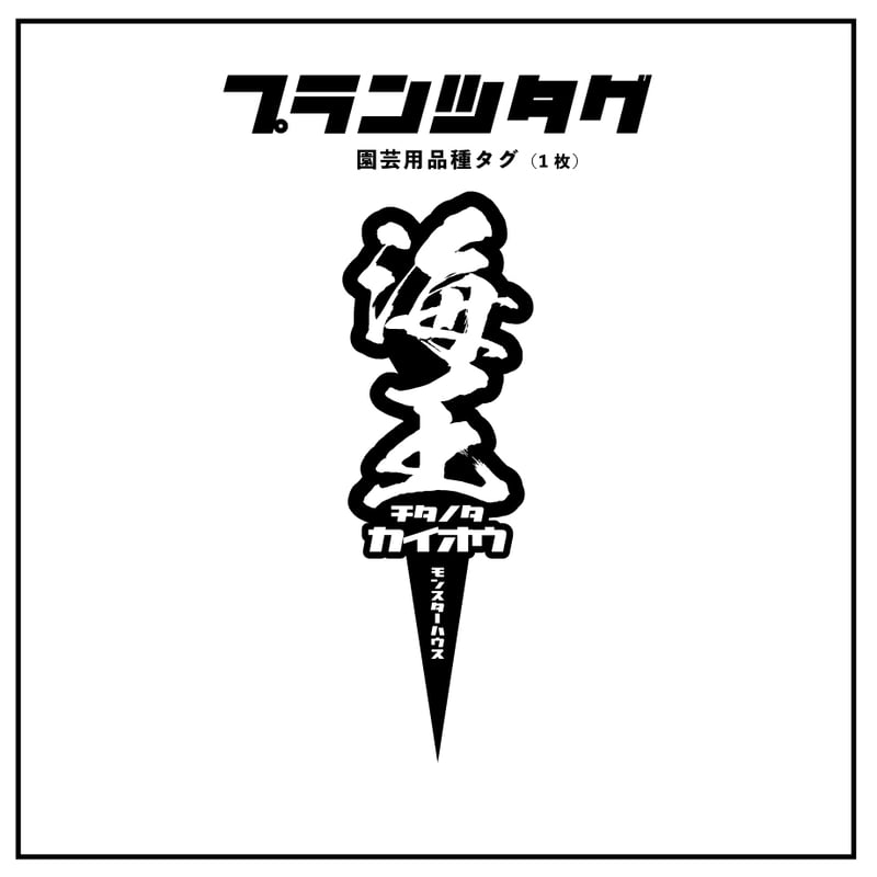 アガベ 品種 プランツタグ 黒】チタノタ 海王 | アガベ専門店