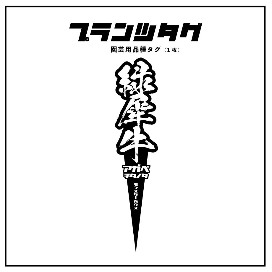 アガベ 品種 プランツタグ 黒】チタノタ 緑犀牛 | アガベ専門店