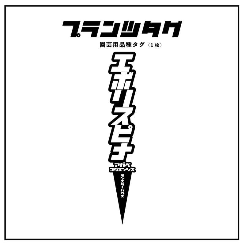 アガベ 品種 プランツタグ 黒】エボリスピナ | アガベ専門店
