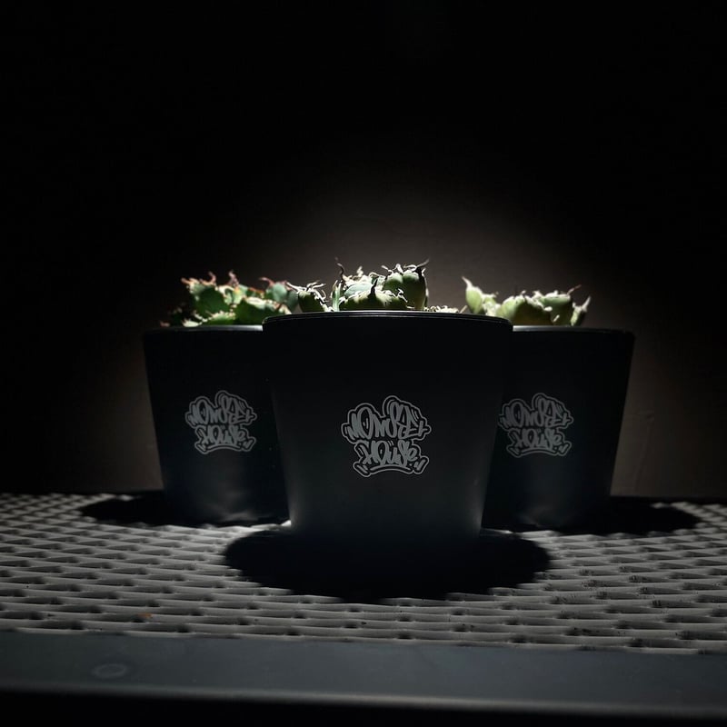 再販】モンスターボウル（プラ鉢3個）ブラック | アガベ専門店