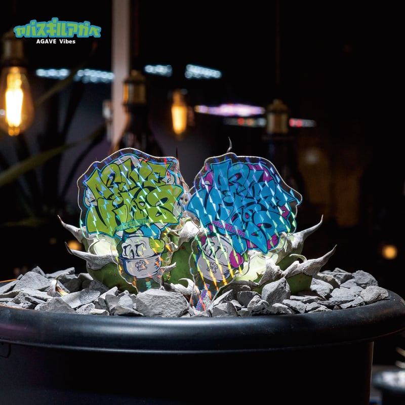 プランツタグ1枚】ヤバスギルアガベ AGAVE Vibes キラキラ（Mサイズ