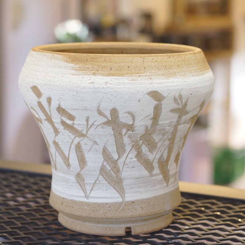 ☆jc'sシャドウ☆ 発根済み　6号鉢　② モンスト　アガベ 686302cb9efea7d662c1f6fc751d2b