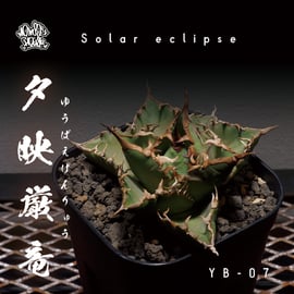 fit=cover,w=270,h=270