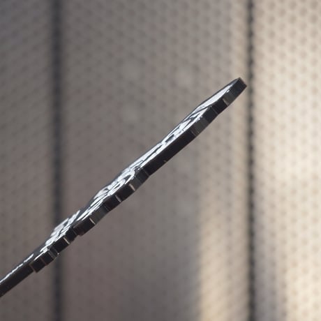 【アガベ 品種 プランツタグ 黒】チタノタ 巨歯鯊