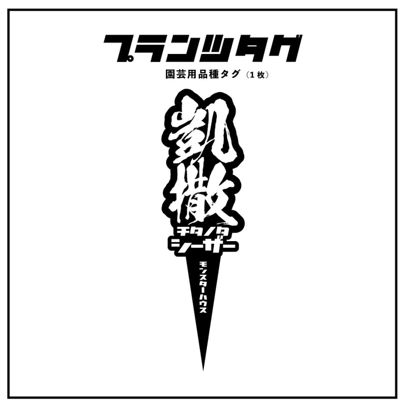 アガベ 品種 プランツタグ 黒】チタノタ シーザー（凱撒） | アガベ