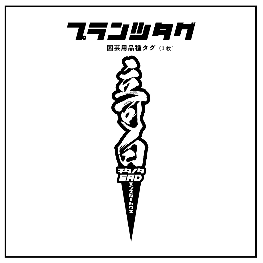 アガベ 品種 プランツタグ 黒】立可白 (SAD) | アガベ専門店 アガベ 品種 プランツタグ 黒】立可白 (SAD) | アガベ専門店