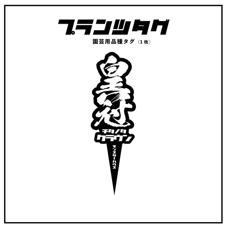 アガベ 品種 プランツタグ 黒】チタノタ 皇冠 | アガベ専門店