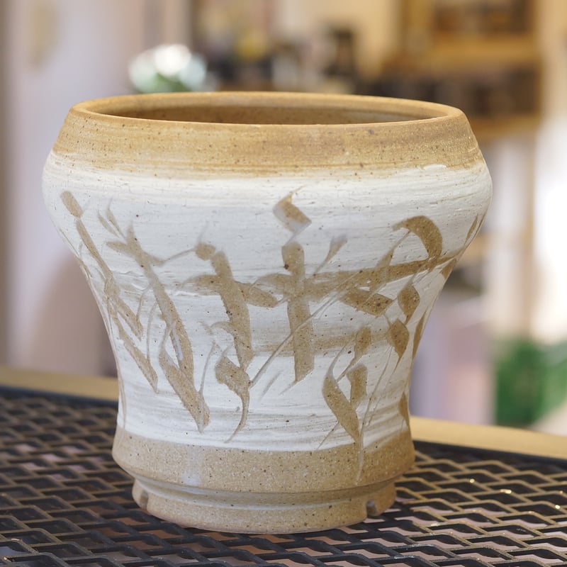 刻紋鉢 Kokumon KM-08 | アガベ専門店 モンスターハウス