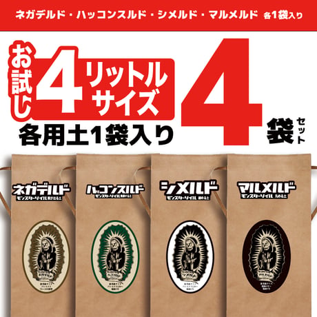 アガベ専門店 モンスターハウス