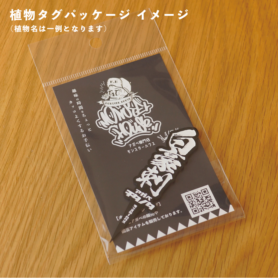 アガベ 品種 プランツタグ 黒】チタノタ レッドキャットウィーズ アガベ 品種 プランツタグ 黒】チタノタ レッドキャットウィーズ