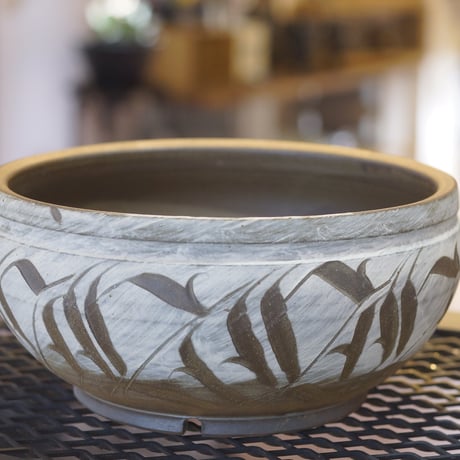 アガベ鉢 | STORES