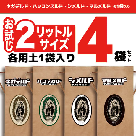 アガベ専門店 モンスターハウス