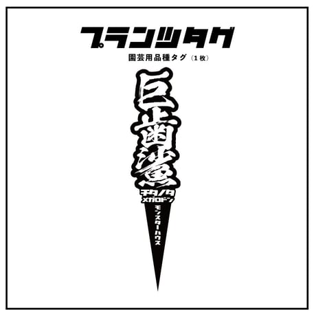 【アガベ 品種 プランツタグ 黒】チタノタ 巨歯鯊