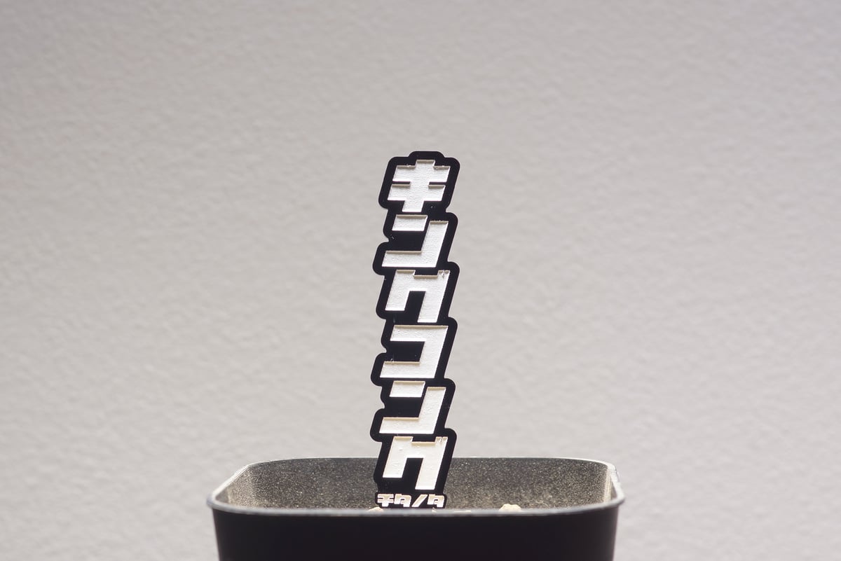 アガベ 品種 プランツタグ 黒】チタノタ キングコング | アガベ専門店