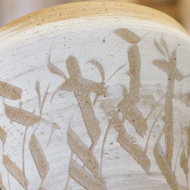 刻紋鉢 Kokumon KM-08 | アガベ専門店 モンスターハウス