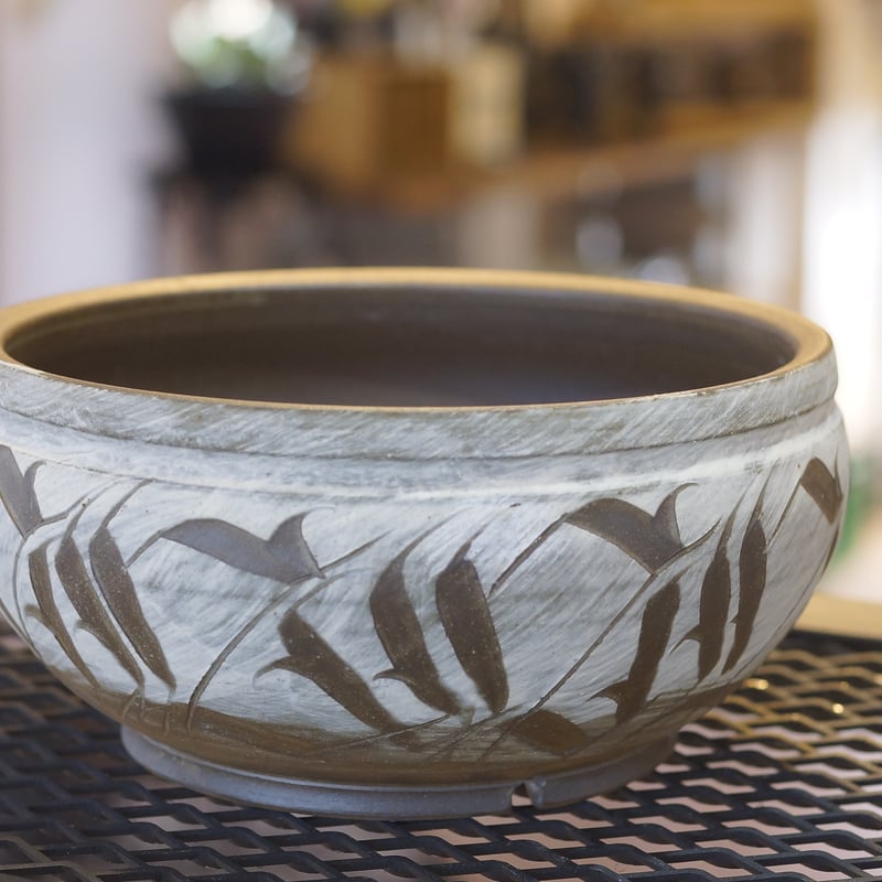 刻紋鉢 Kokumon KM-07 | アガベ専門店 モンスターハウス