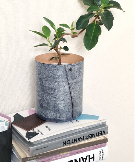Toko Cylinder : Shirakaba【Limited Edition】トコシリンダー