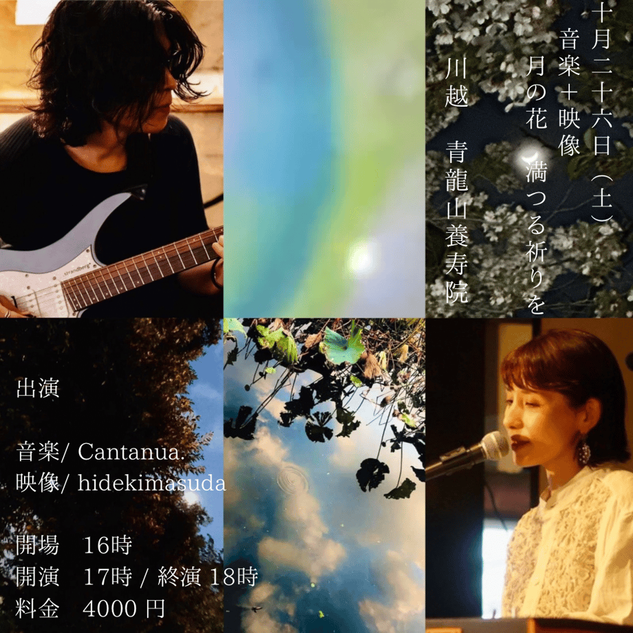 66f2c4599300a90a2d5707ca