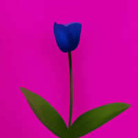 青薔薇  /  タツガエヨウスケ