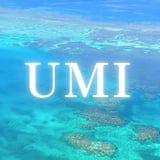 UMI WORLD STORE