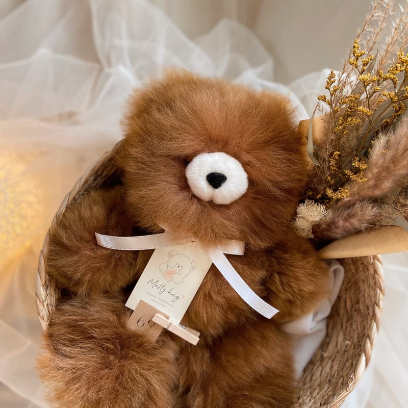 069 ］ チョコレート / アルパカテディベア / 送料無料 | Melt