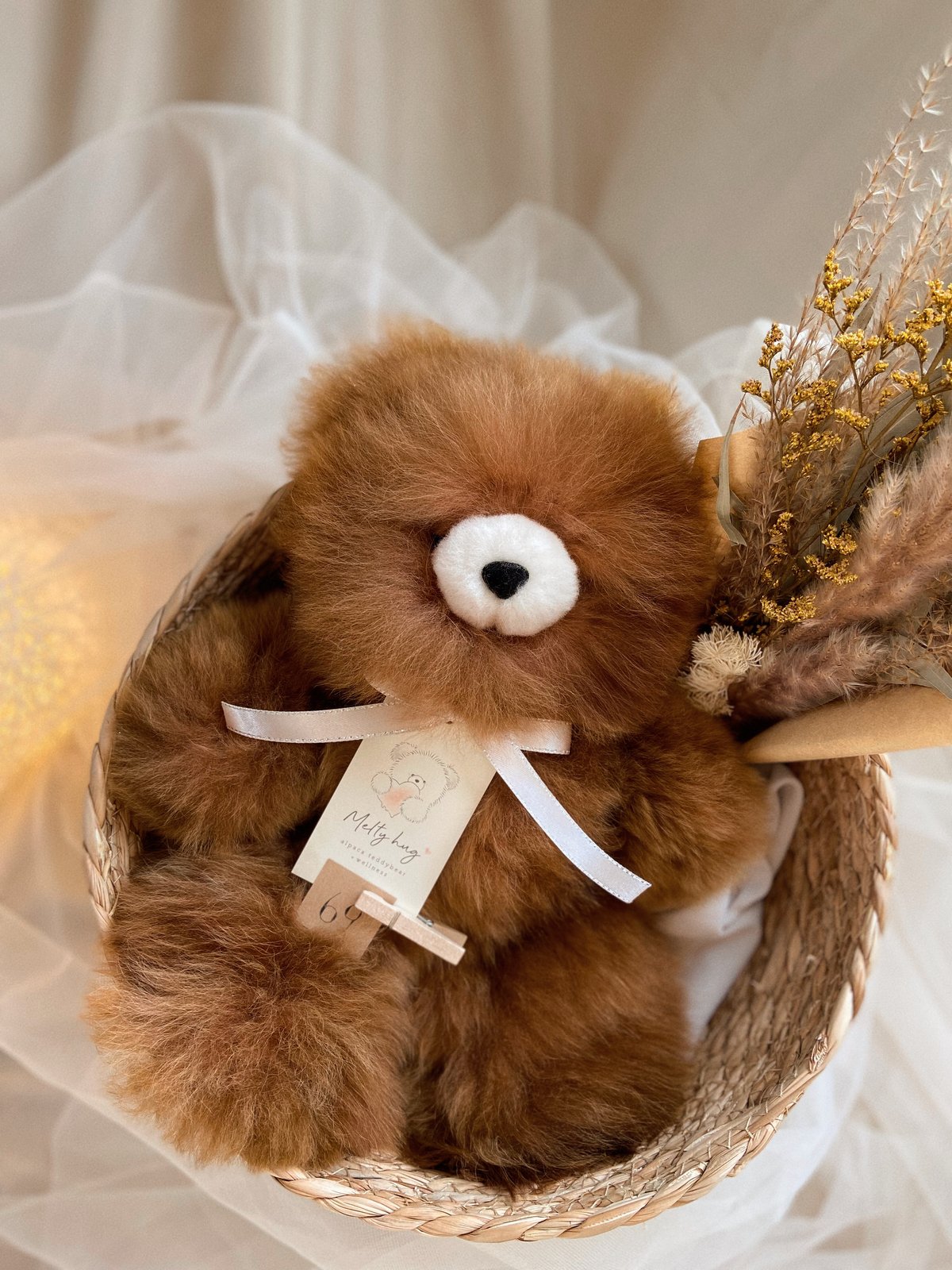 069 ］ チョコレート / アルパカテディベア / 送料無料 | Melt