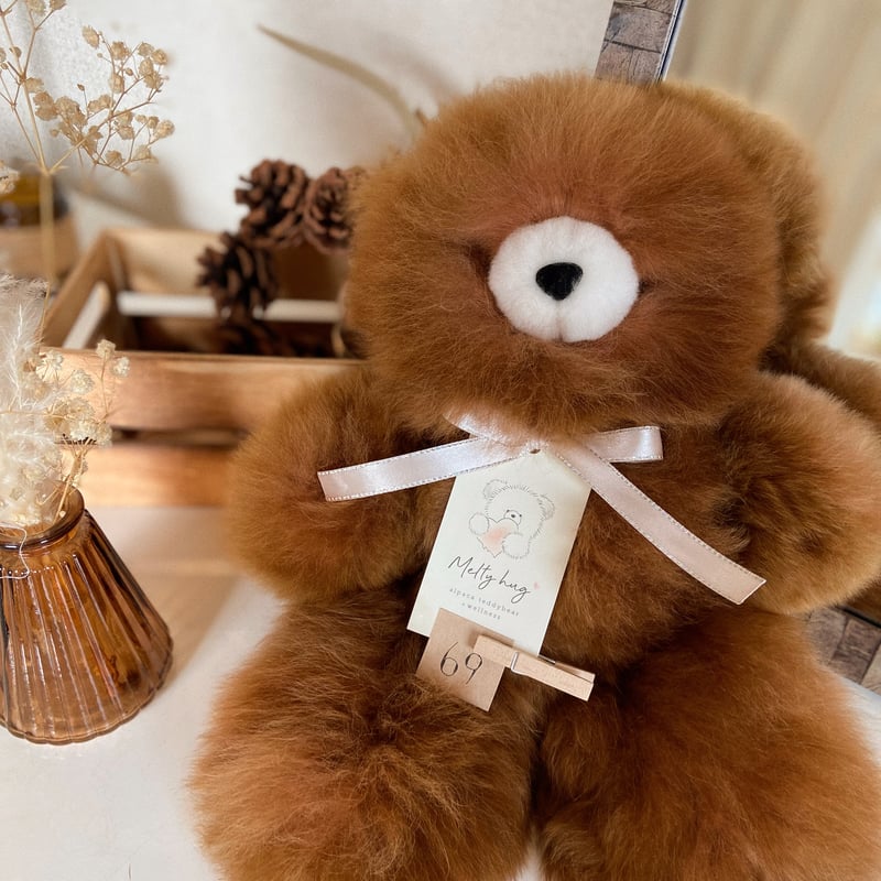 069 ］ チョコレート / アルパカテディベア / 送料無料 | Melt