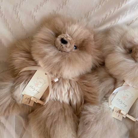 アルパカベア | STORES