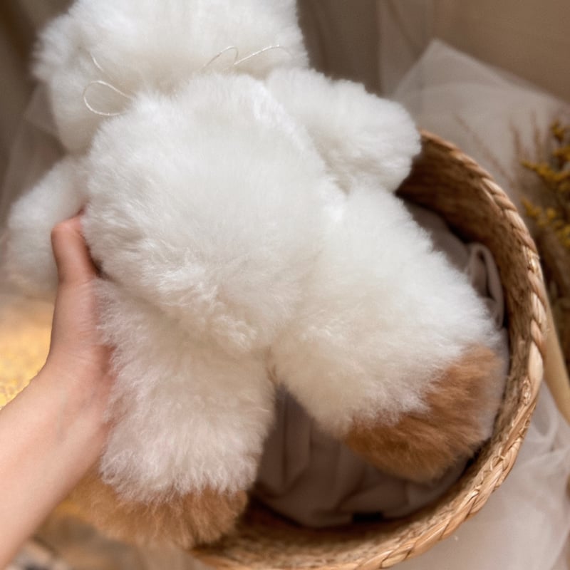 068 ］ホワイト x キャメル / アルパカテディベア / 送料無料 |