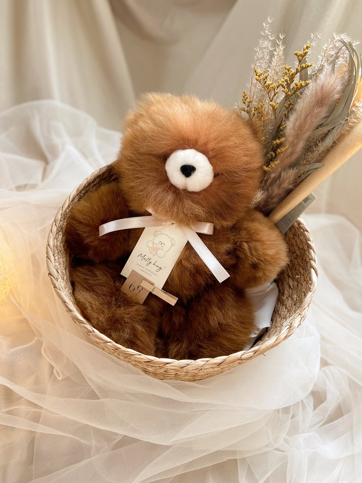 069 ］ チョコレート / アルパカテディベア / 送料無料 | Melt