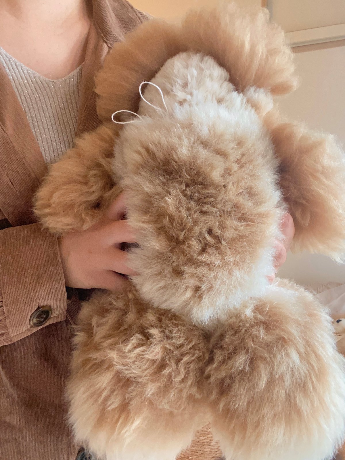 103 ］ ダークモカ ミックスカラー / アルパカテディベア / 送料無料