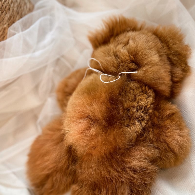 069 ］ チョコレート / アルパカテディベア / 送料無料 | Melt